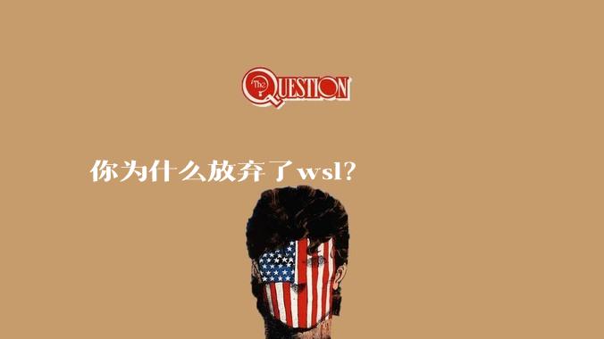 你为什么放弃了wsl？