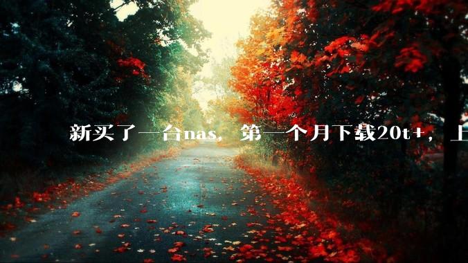 新买了一台nas，第一个月下载20t+，上传5+，不会被网警盯上吧?