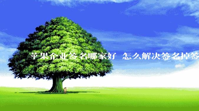 苹果企业签名哪家好 怎么解决签名掉签问题  ？
